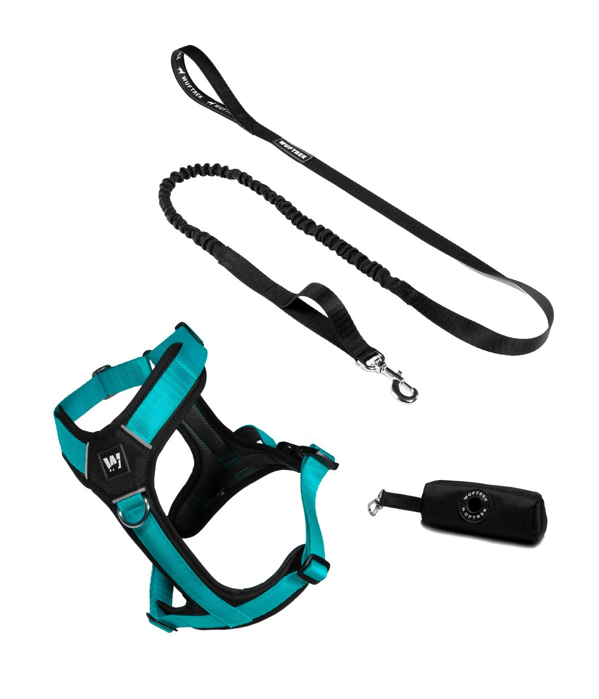 Combo para perro, arnés, correa y estuche color azul turquesa