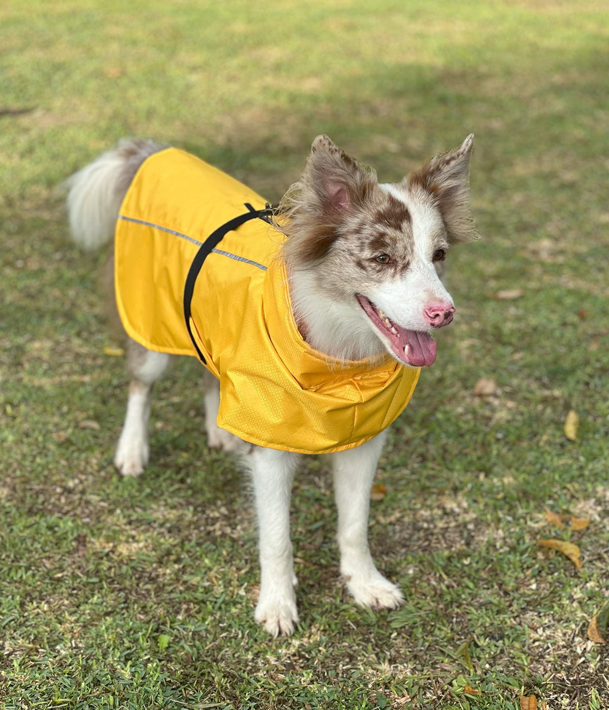 Impermeable para perros HydroTrek
