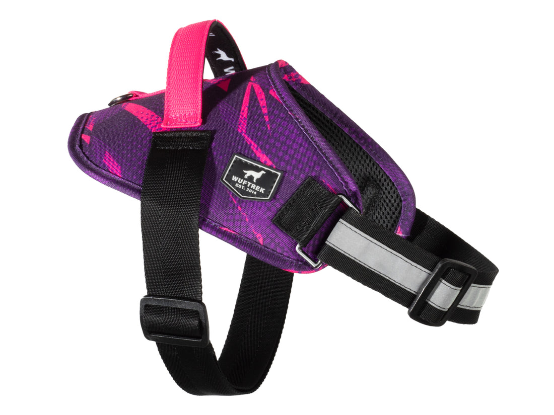 Arnés Sportstyle para perro en color violeta y fucsia