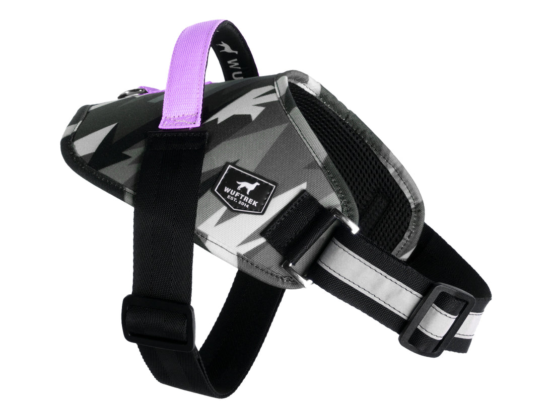 Arnés Sportstyle para perro con estampado en color gris y con reata color lila