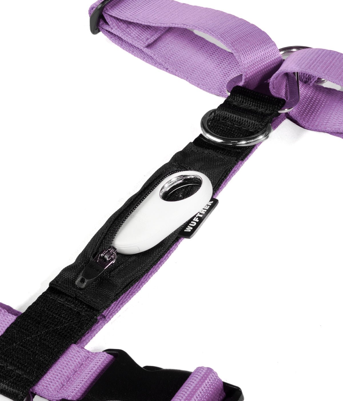 Detalle de un SmartTag de Samsung saliendo del bolsillo de un arnés H para perros color lila con negro