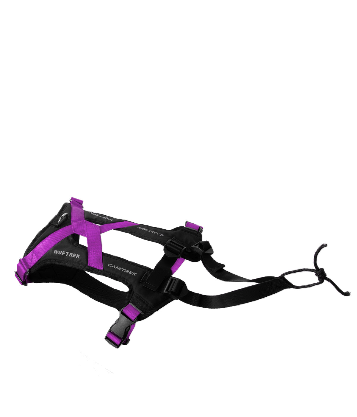 Top view of a violet-and-black canicross dog harness, showing the adjustable straps and attachment loop