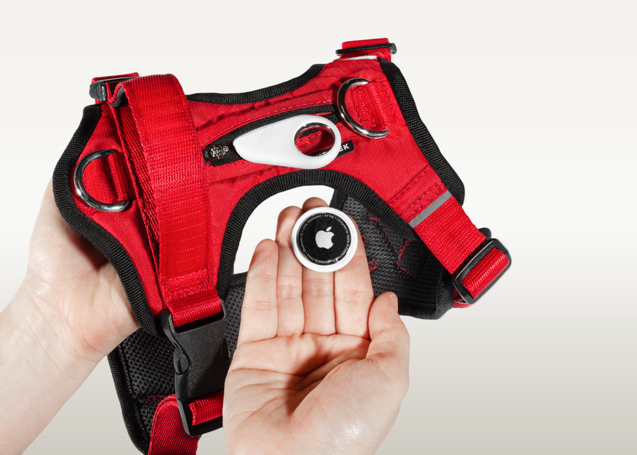 Una mujer sosteniendo una pechera para perros color rojo, un airtag de apple y un smarttag de samsung