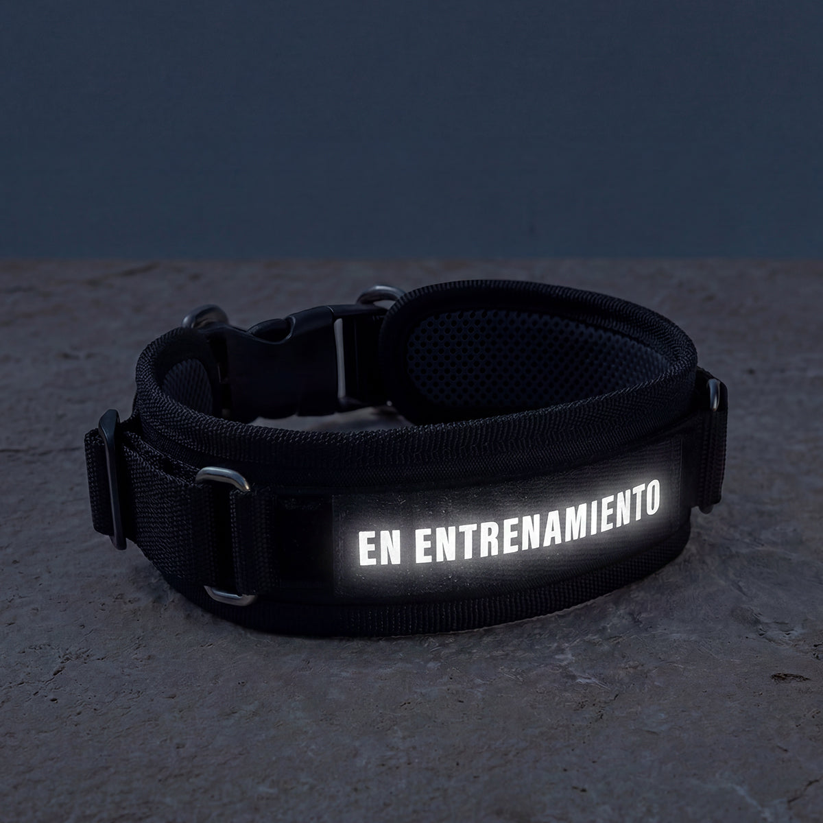 Un collar en color negro, con un parche de identificación que dice En entrenamiento con estampado reflectivo