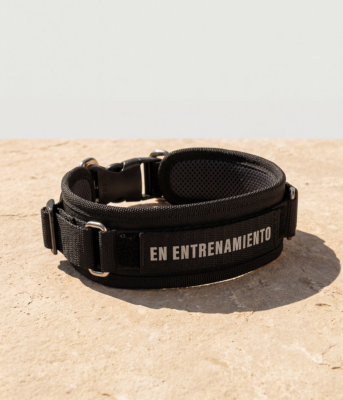 Un collar en color negro, con un parche de identificación que dice En entrenamiento sobre una piso de piedra