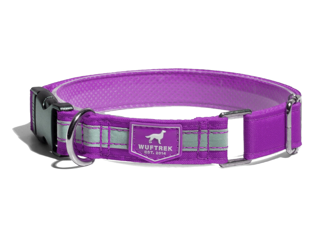 Collar para perros en tela color violeta