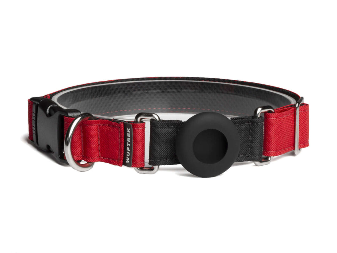 Collar para perros con soporte para AirTag en color rojo