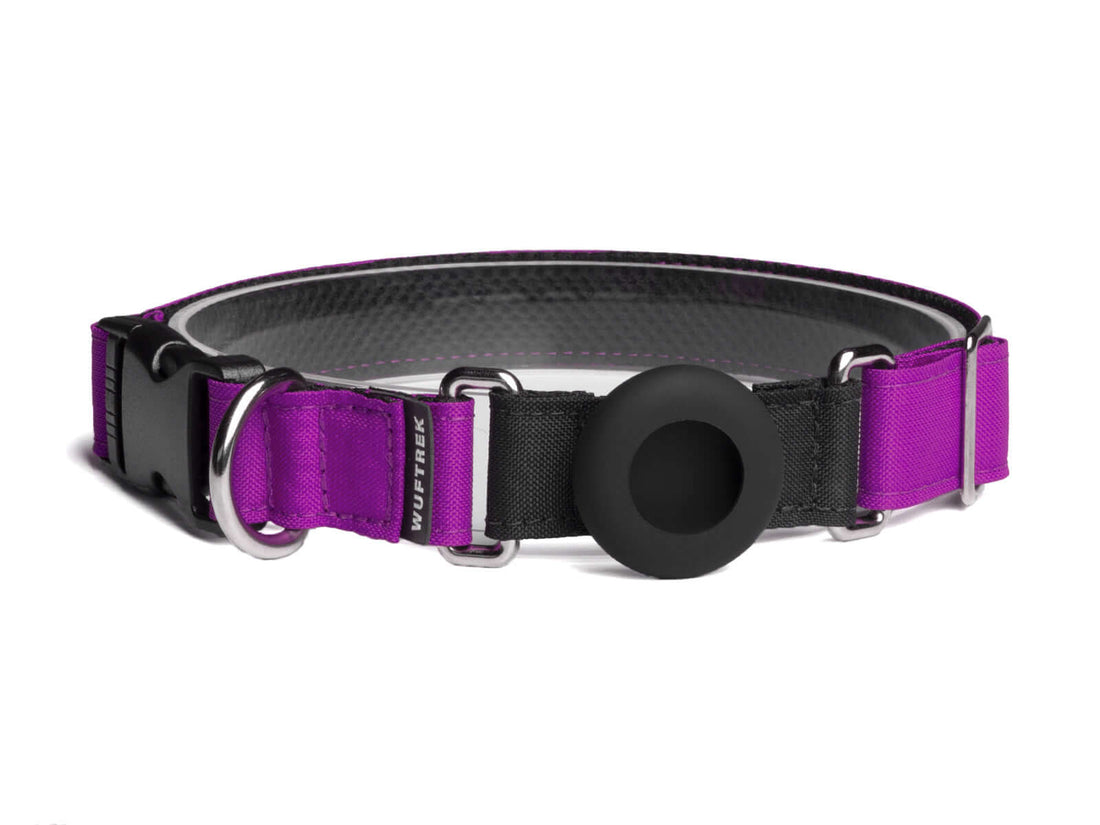 Collar para perros con estuche para AirTag color violeta