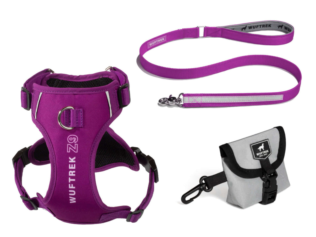 Combo arnés, correa y porta bolsas para perros color violeta