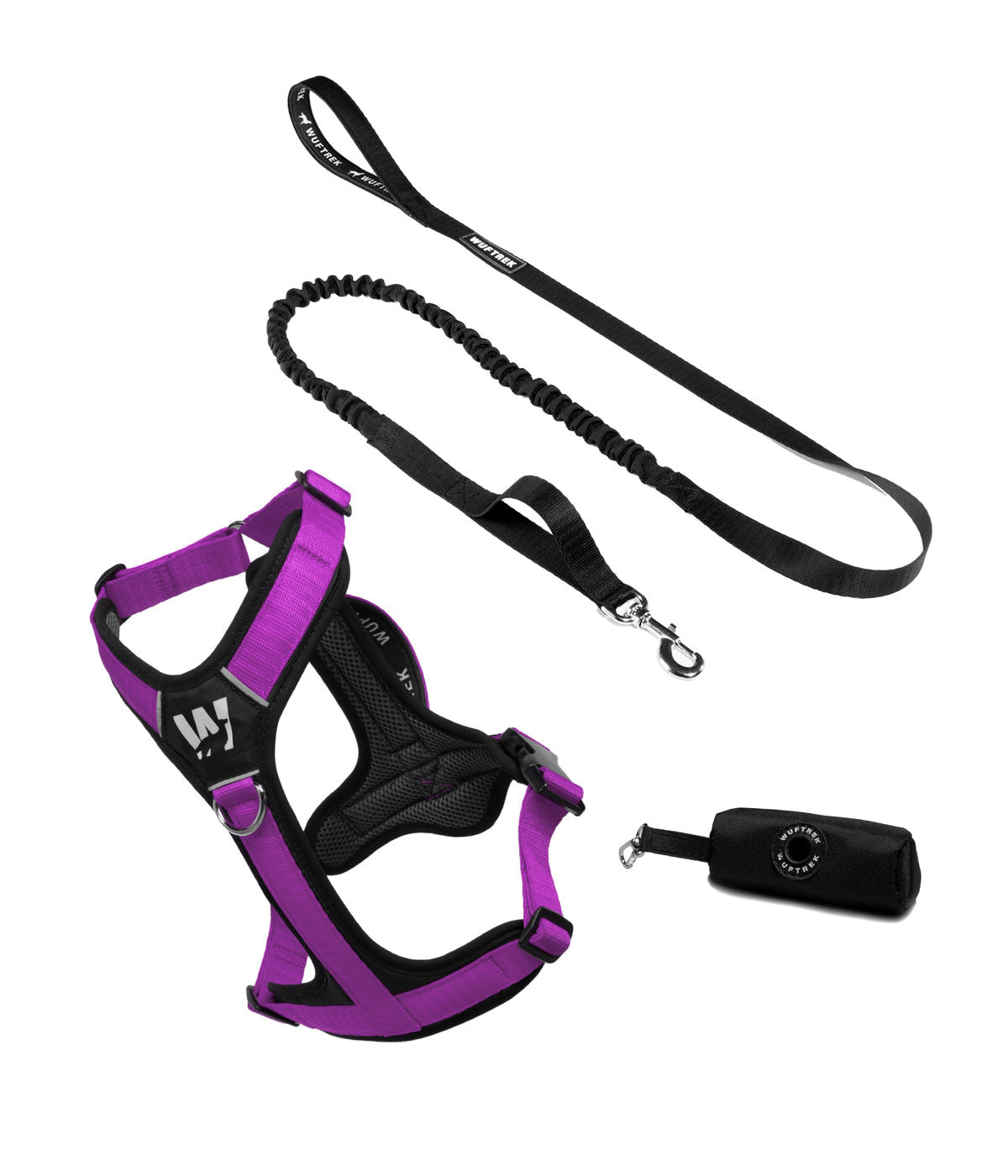 Dog set with violet-and-black Y-shaped harness, black bungee leash, and black waste bag holder