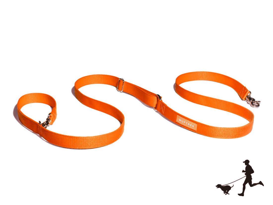 Correa manos libres para perros color naranja