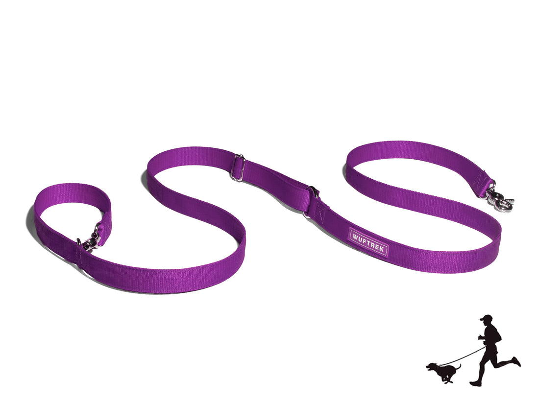 Correa para perros color violeta referencia Violet Manos Libres