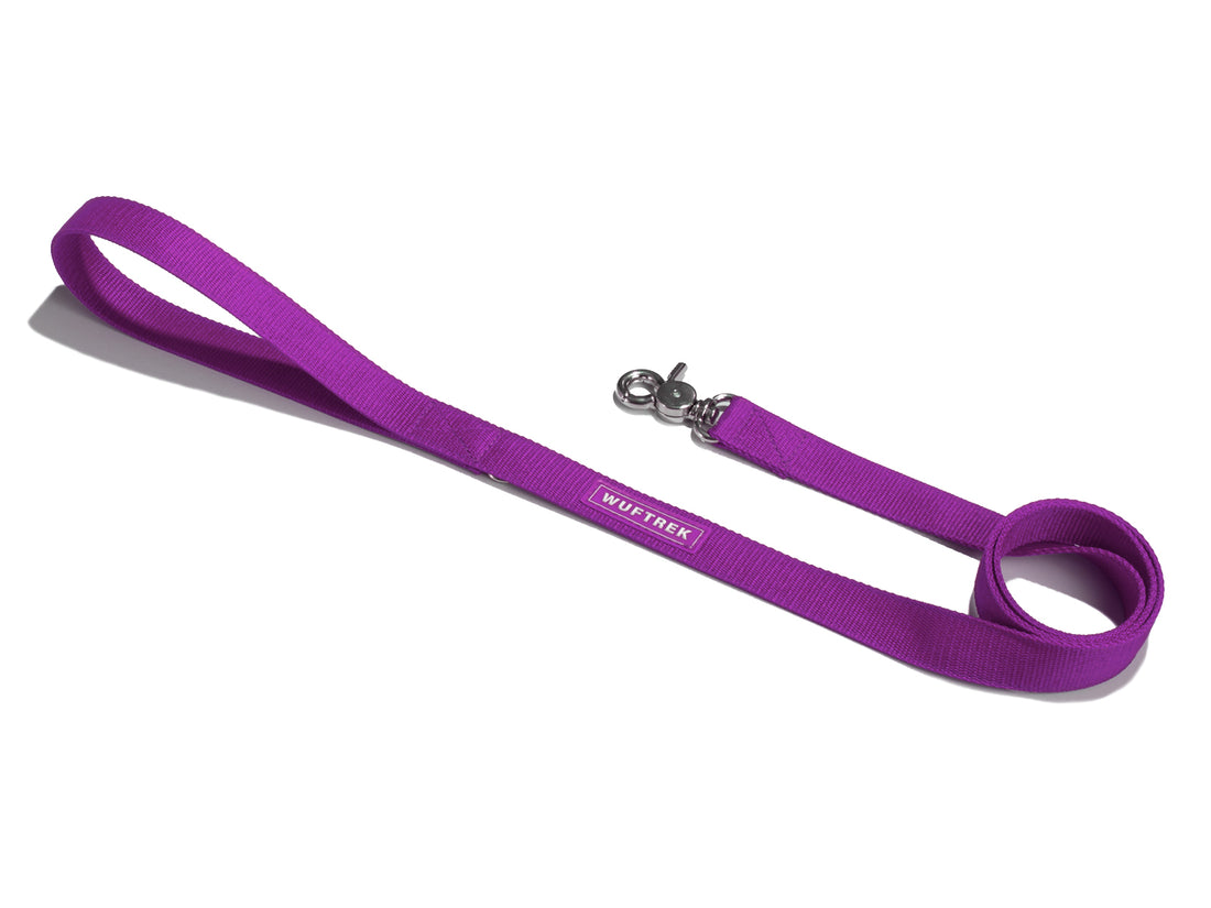 Correa para perros color violeta referencia Violet