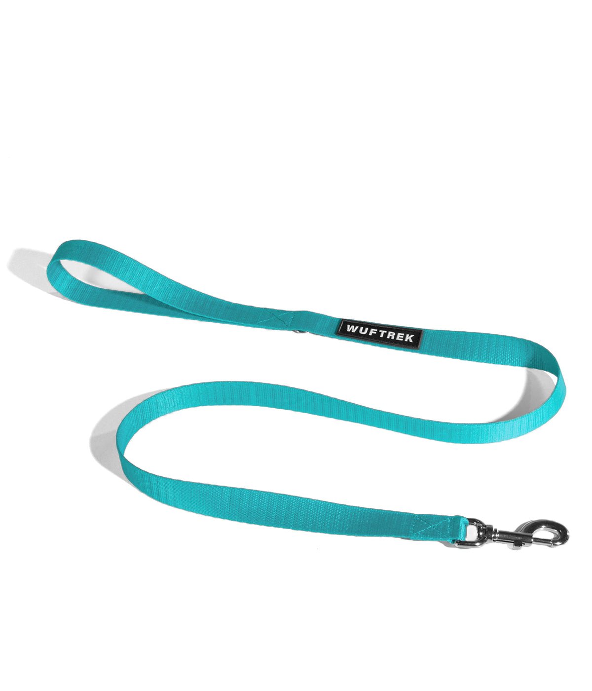 Turquoise dog leash