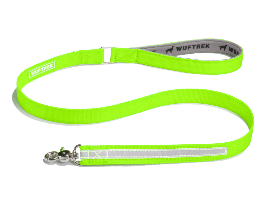 Correa para perros color verde limón Sport Pro