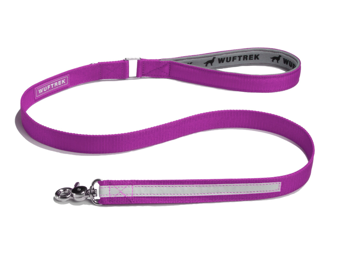 Correa para perros en color violeta y con reflectivo