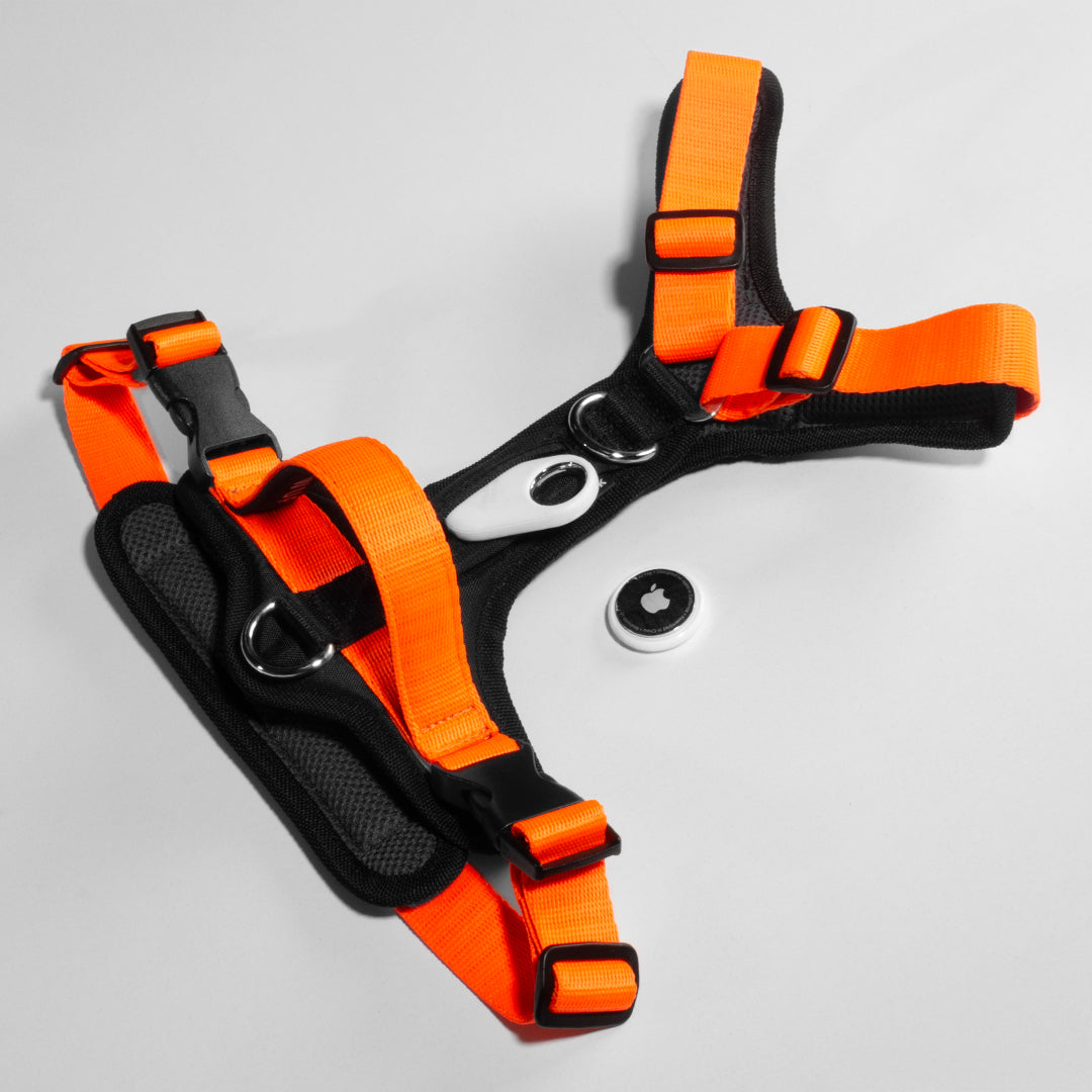 Vista posterior de un arnés para perro color naranja con un dispositivo SmartTag y AirTag