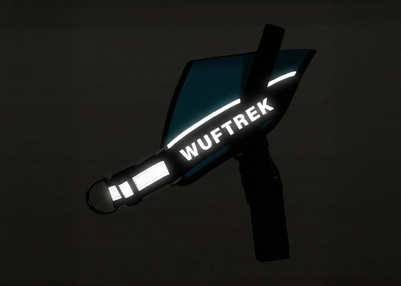 Detalles reflectivos de un arnes perro