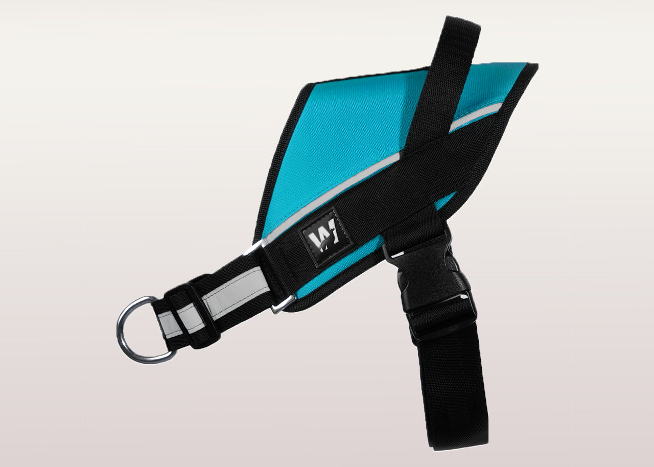 Detalle lateral del arnés para perros UrbanTrek color azul turquesa