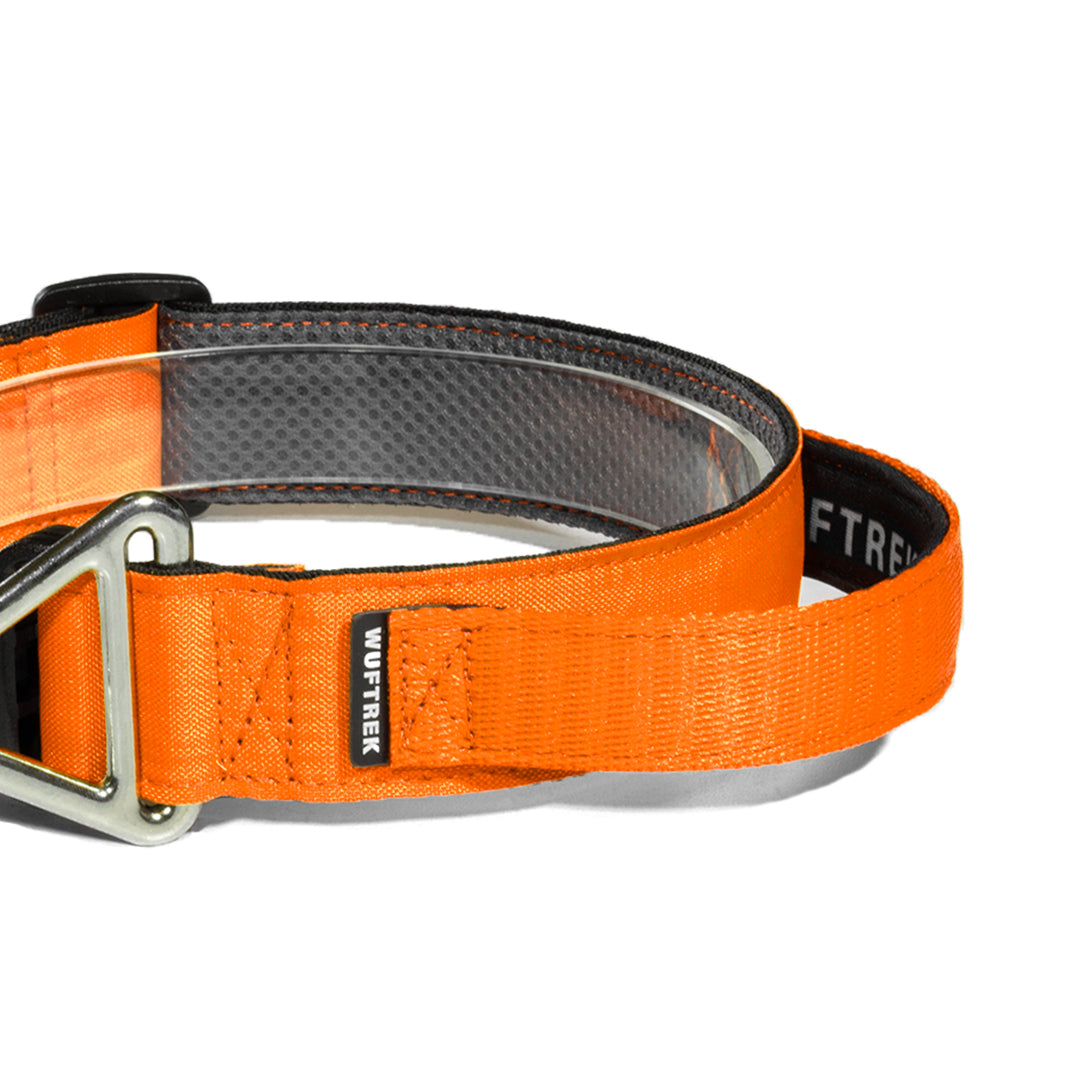 Detalle collar con manija para perros TrekForce color naranja
