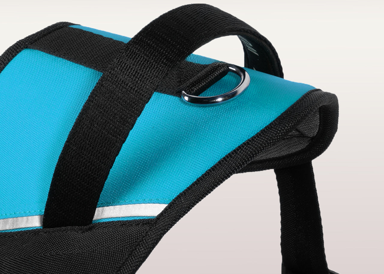 Detalle de la manija del arnés para perros UrbanTrek color azul turquesa