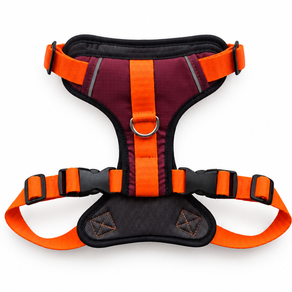 Pechera EasyTrek – Avante – Talla M