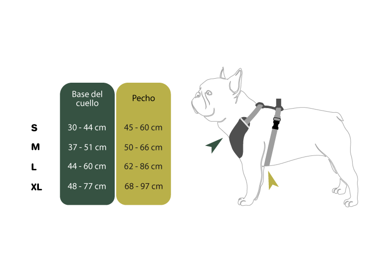 Guía de medidas del arnés tipo Y para perro