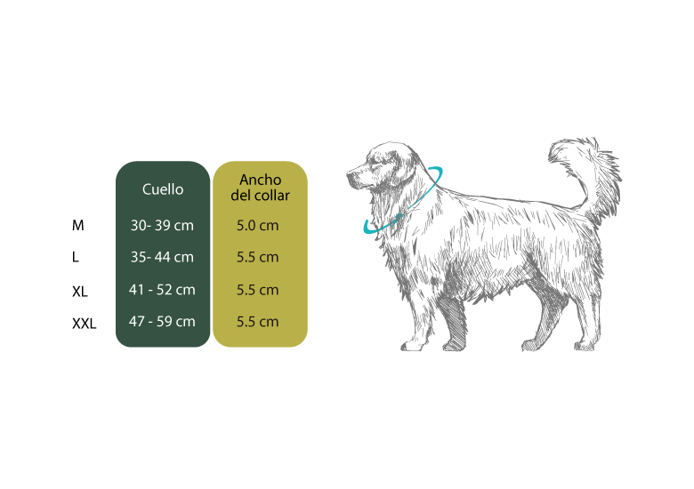 Guía de medidas collares para perros MaxTrek