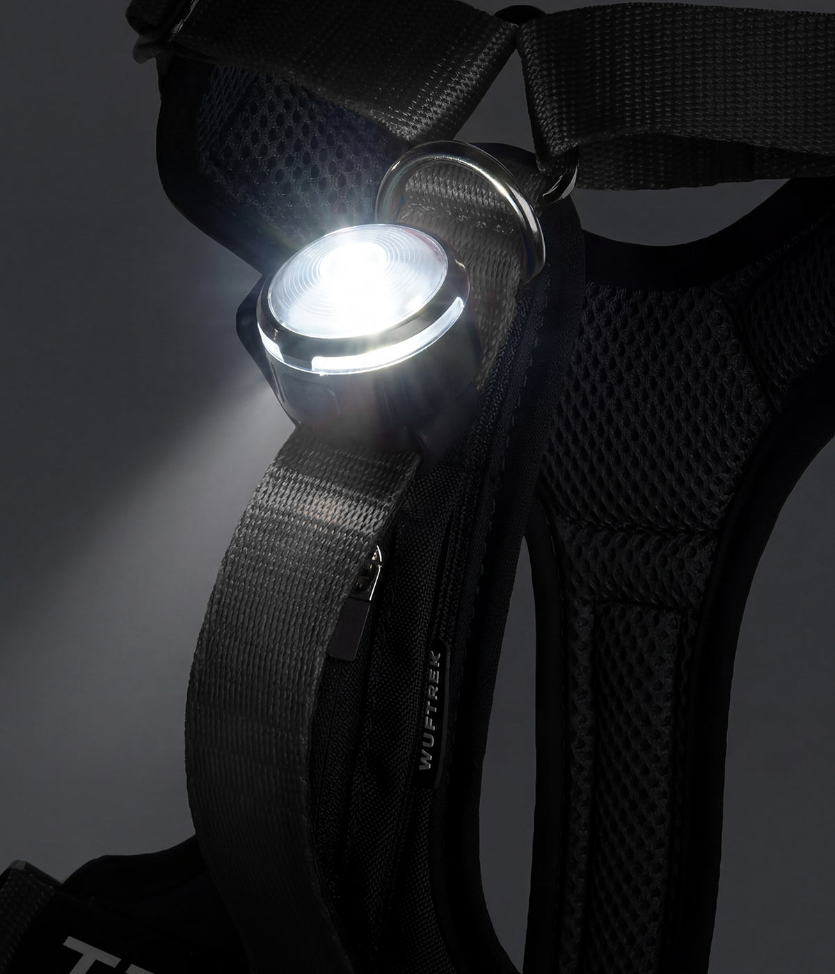 Dog harness in the dark with an LED light attached to the handle
