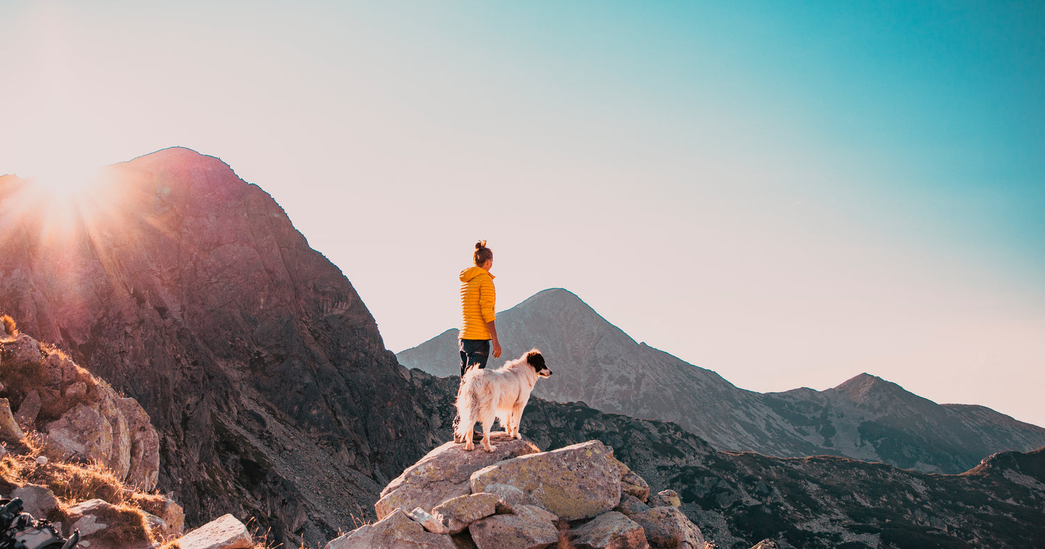 Mujer paseando con un perro en una montaña