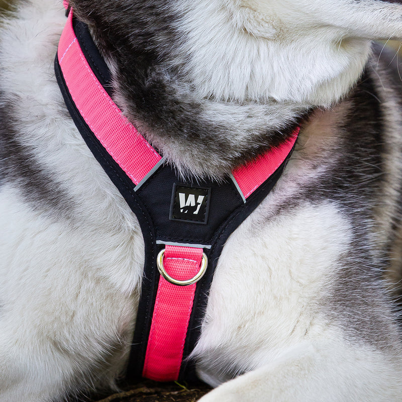 multicolumns-item-image-1