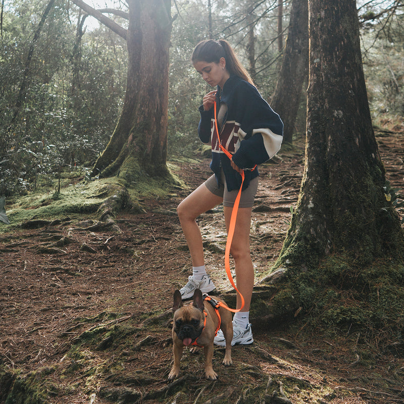 multicolumns-item-image-2