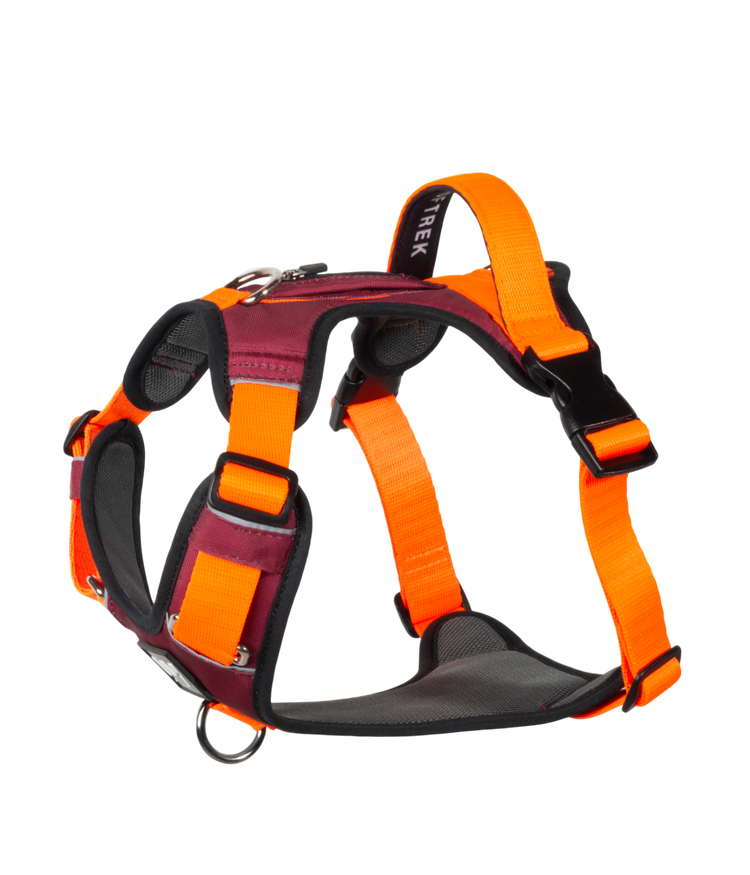 <h2>¿Por qué comprar la pechera AirTrek?</h2>