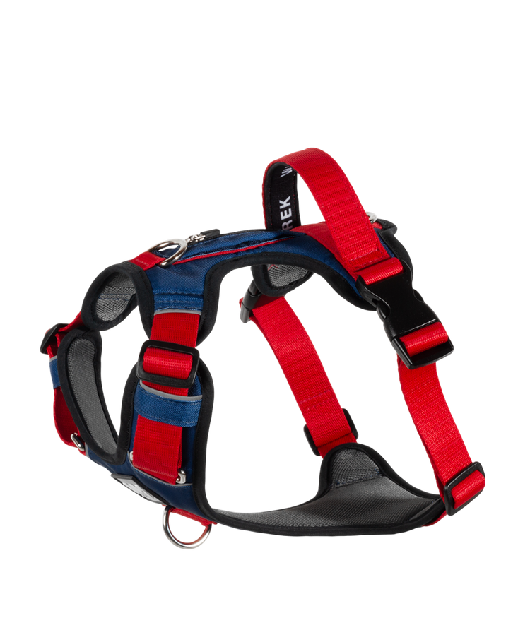 <h2>¿Por qué comprar la pechera AirTrek?</h2>