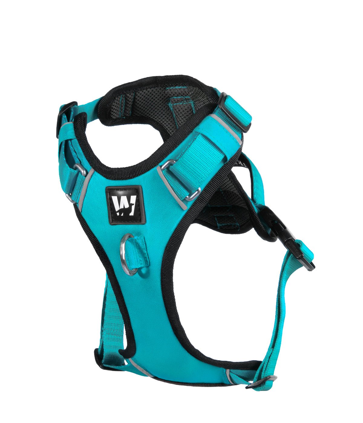 Vista de frente de una pechera para perros AirTrek color azul turquesa