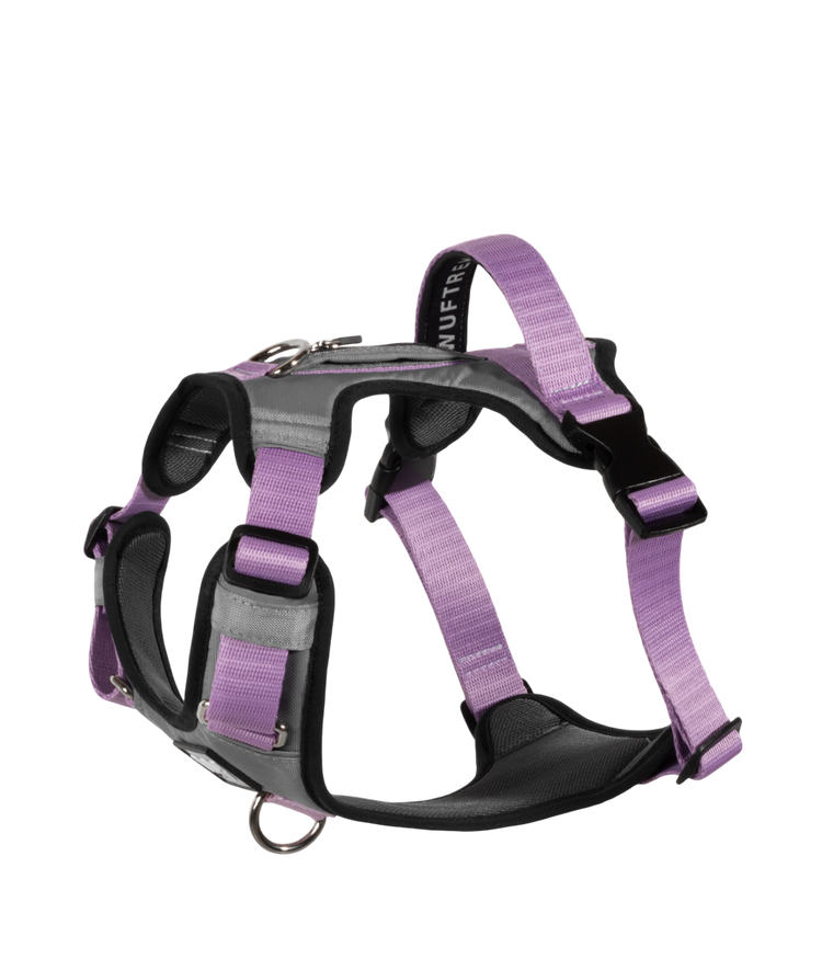 <h2>¿Por qué comprar la pechera AirTrek?</h2>