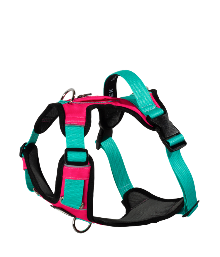 Pechera para perros AirTrek color fucsia y menta