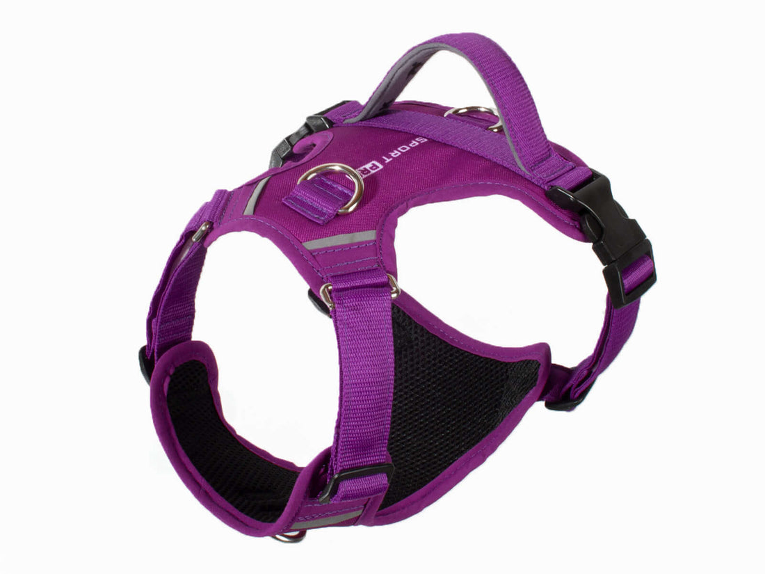Arnés pechera avanzado para perros color violeta vista de revés
