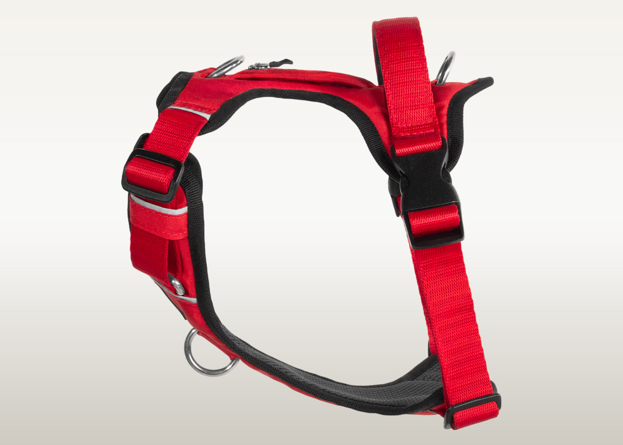 Una pechera para perros color rojo