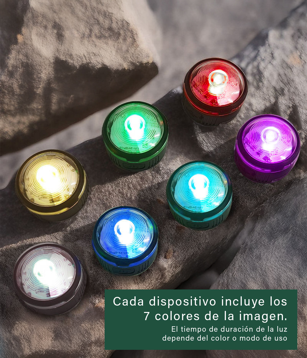 Seven LED dog lights in different colors