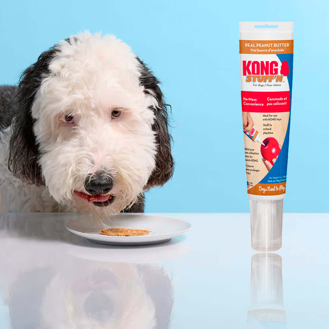 perro comiendo snack sabor a mantequilla de mani de la marca Kong