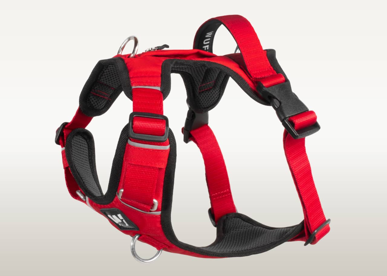 Una pechera para perros color rojo