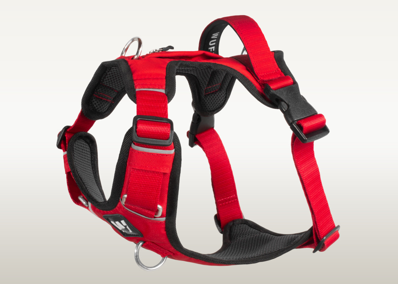 Una pechera para perros color rojo