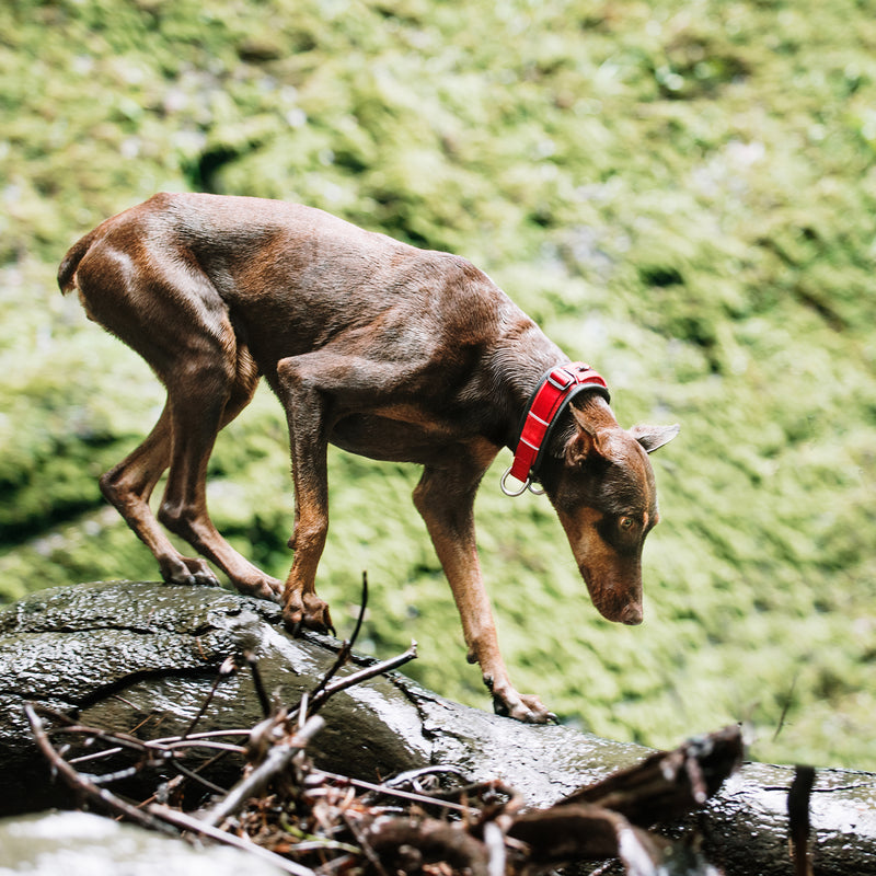 multicolumns-item-image-3