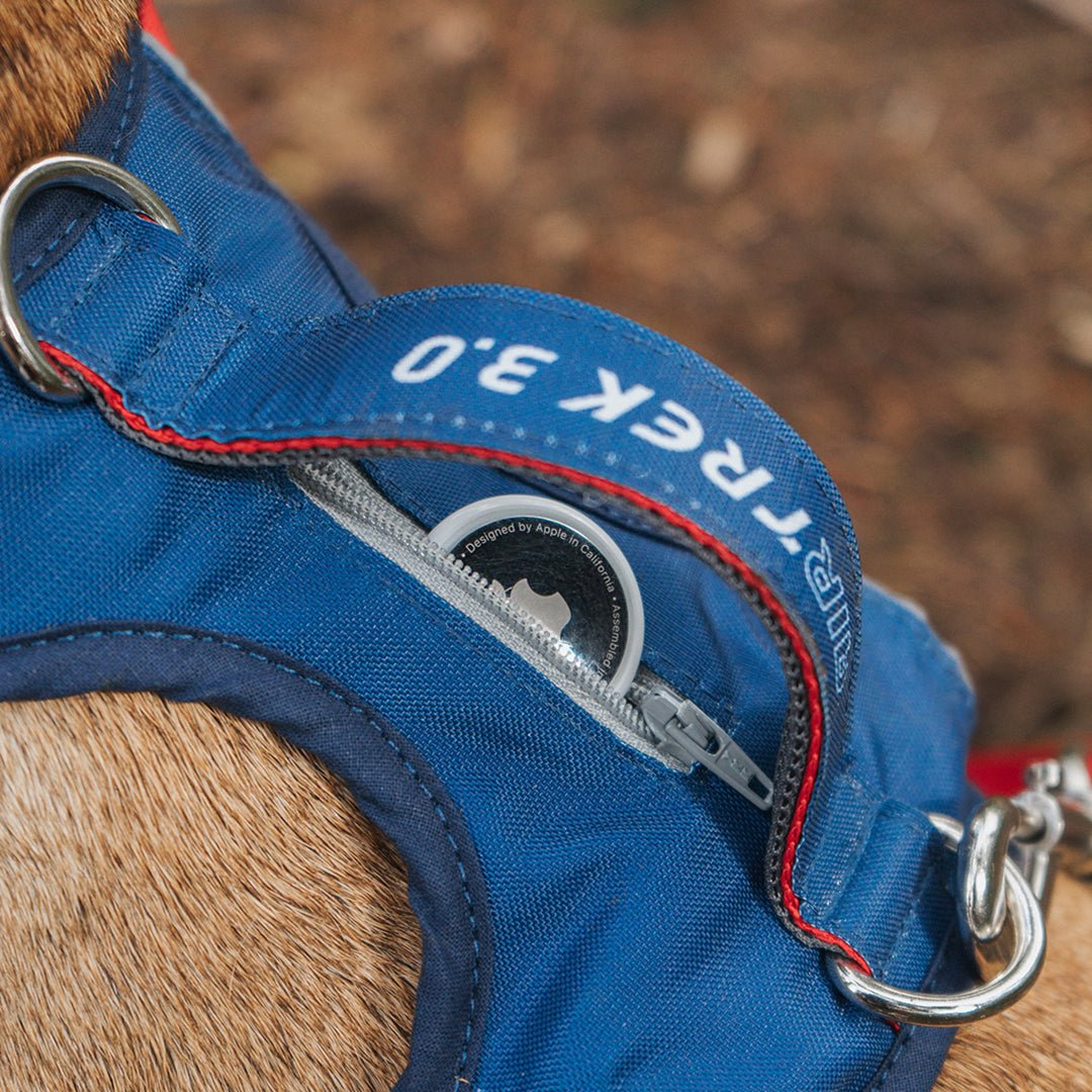 Una pechera para perros color azul con un bolsillo para guardar el airtag de apple