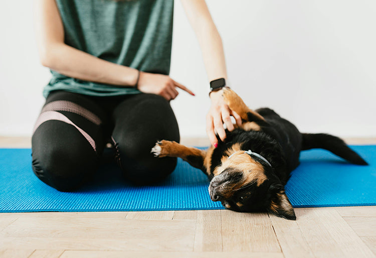 Una mujer sentada sobre un mat de yoga dando una orden a un perro