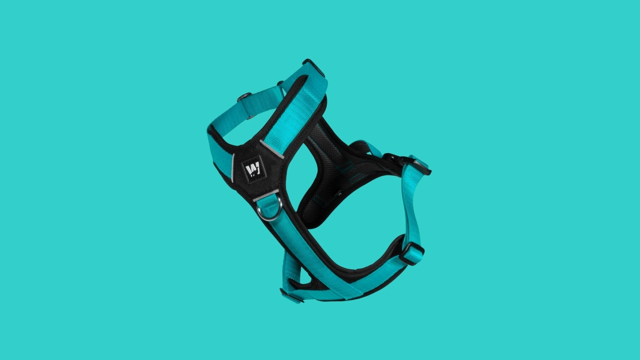 Colección Color Aqua: Frescura, Estilo y Aventura - WUFTREK