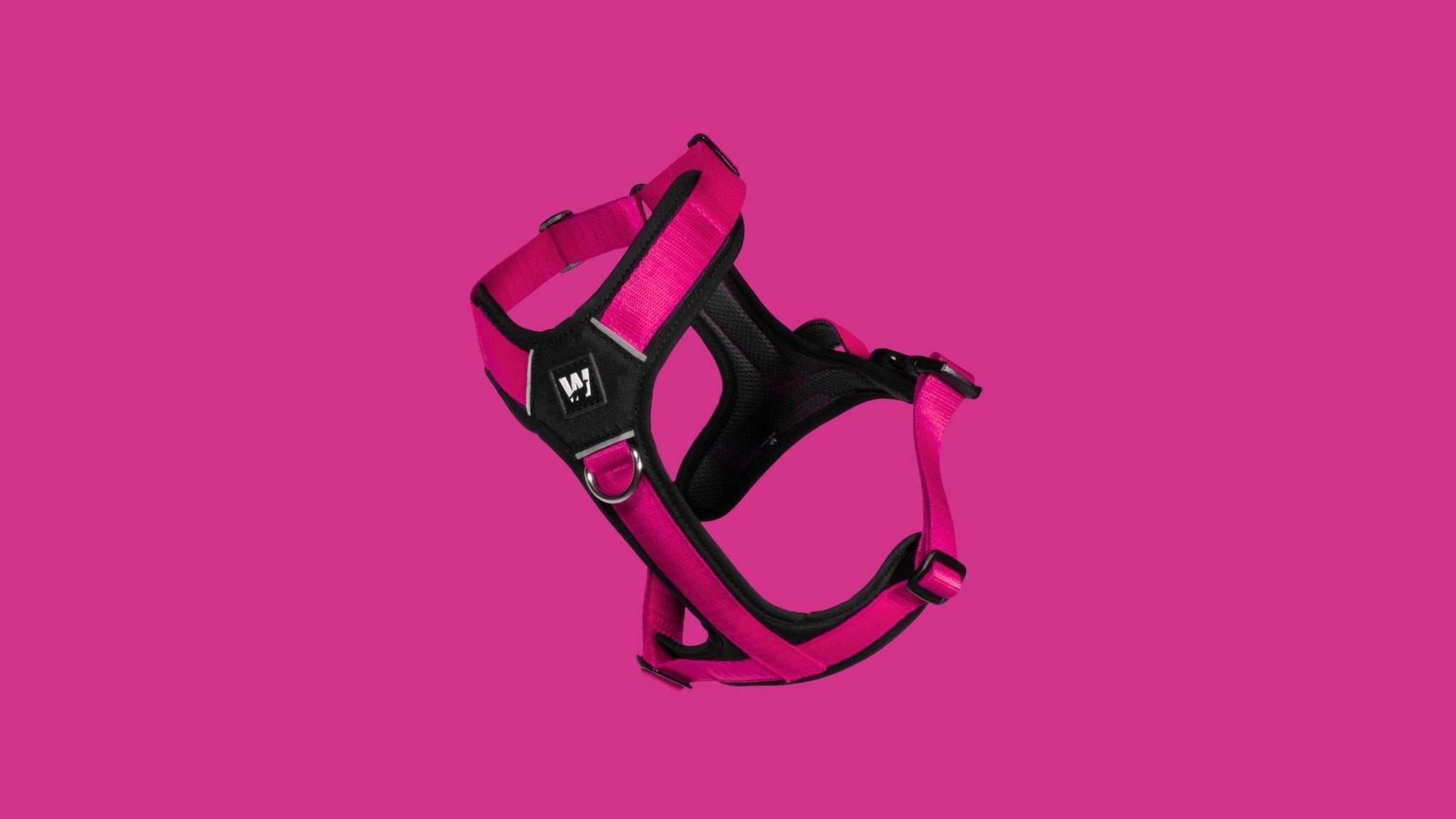 Colección Color Fucsia: Estilo Vibrante para Perros - WUFTREK