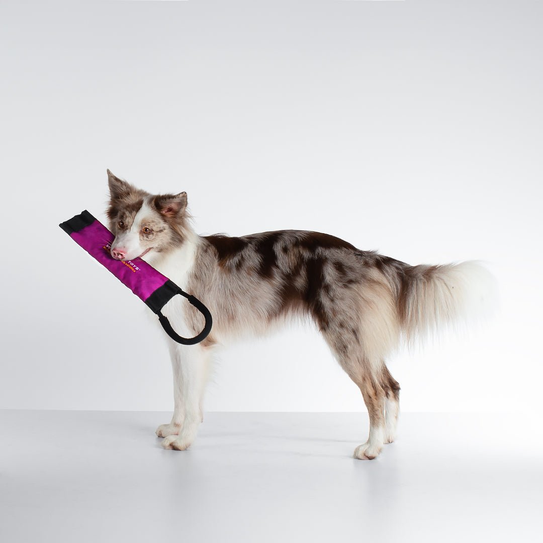 Juguetes para perros | WUFTREK TOYS - WUFTREK