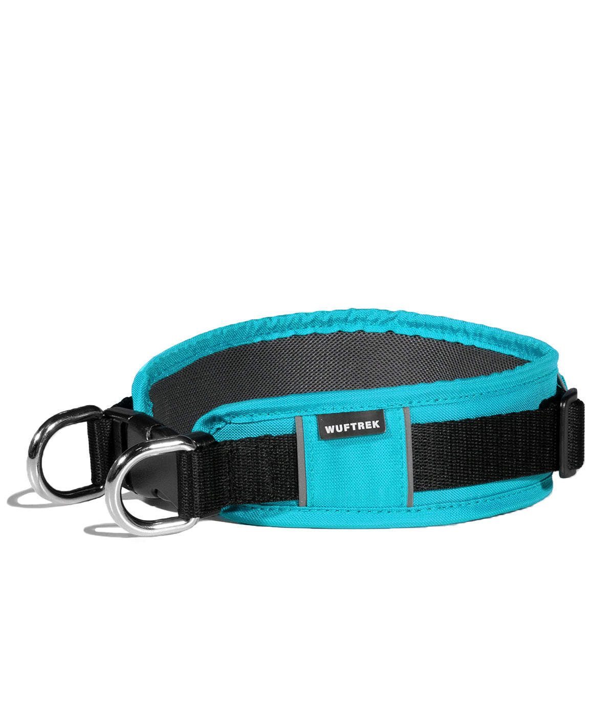 Collar para perros grandes MaxTrek Find color turquesa